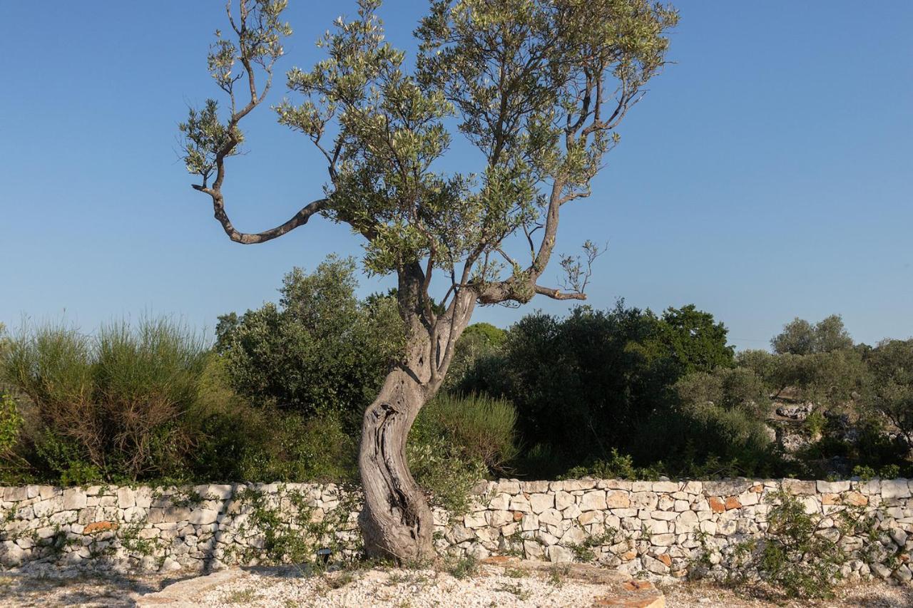 Trullo Carsico By Itriahomes Ceglie Messapica Exterior foto